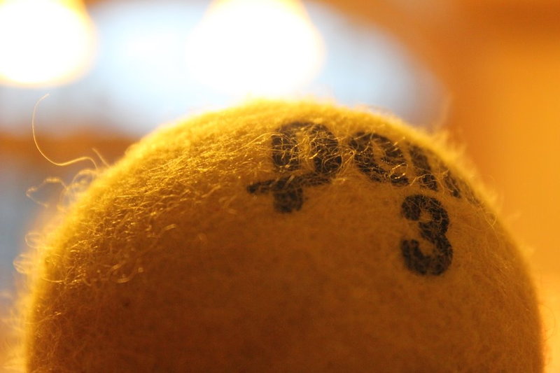 Illustration for article titled Shooting Challenge: Bokeh, Gallery 2